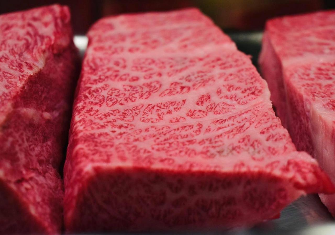 筋肉と自然と遊ぶ宿 田島館 Takayama  Esterno foto
